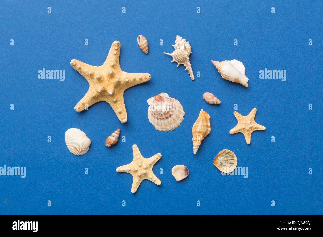 Summer time concept Flat lay composition with beautiful starfish and ...