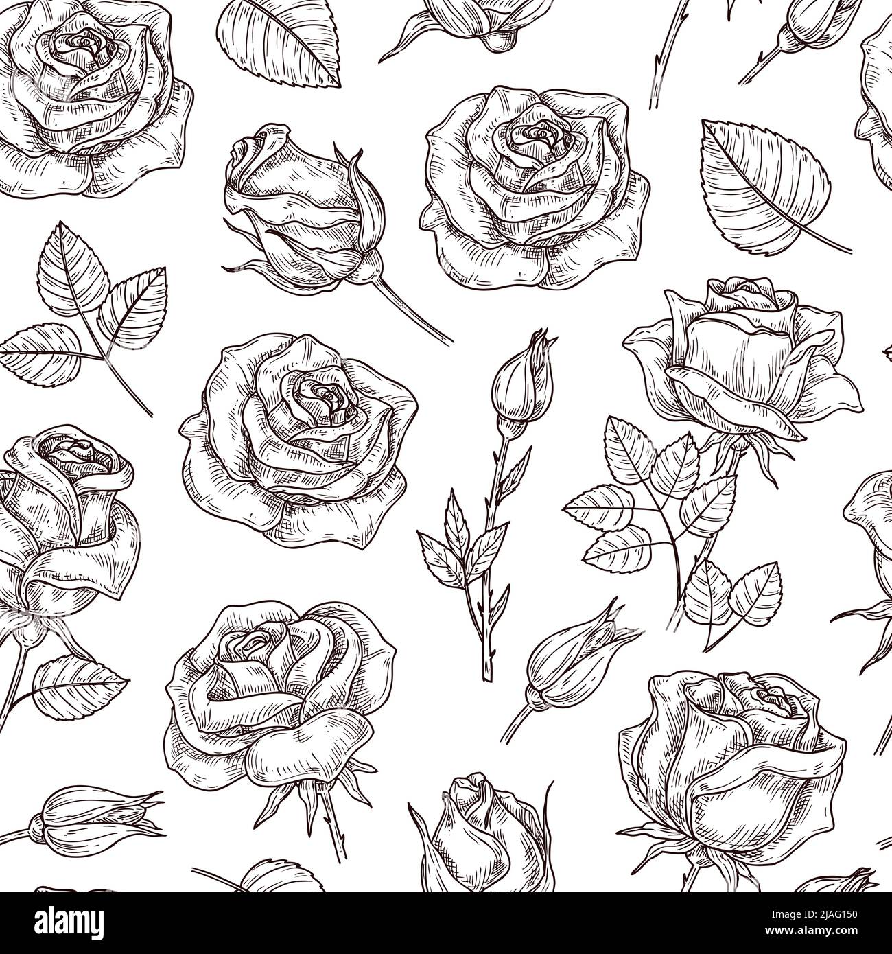 Roses seamless pattern. Rose print, floral vintage sketch design for  fabric. Decorative botanical art wallpaper for romantic girl, neoteric  vector Stock Vector Image & Art - Alamy