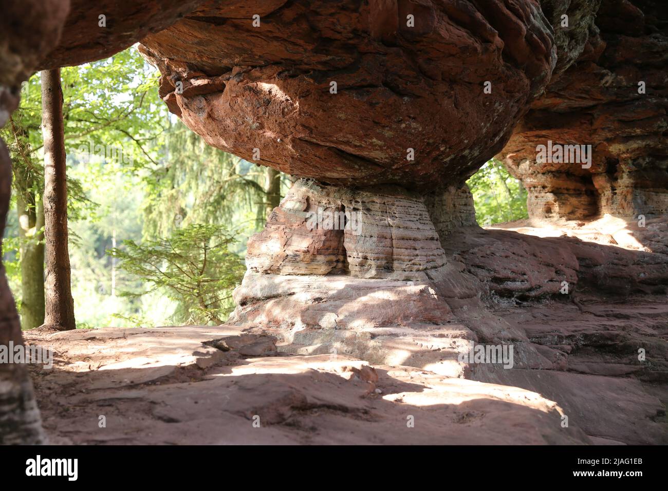 Sandstone rocks on the 'Dahner Felsenpfad' (Dahn Rock Trail) Stock Photo