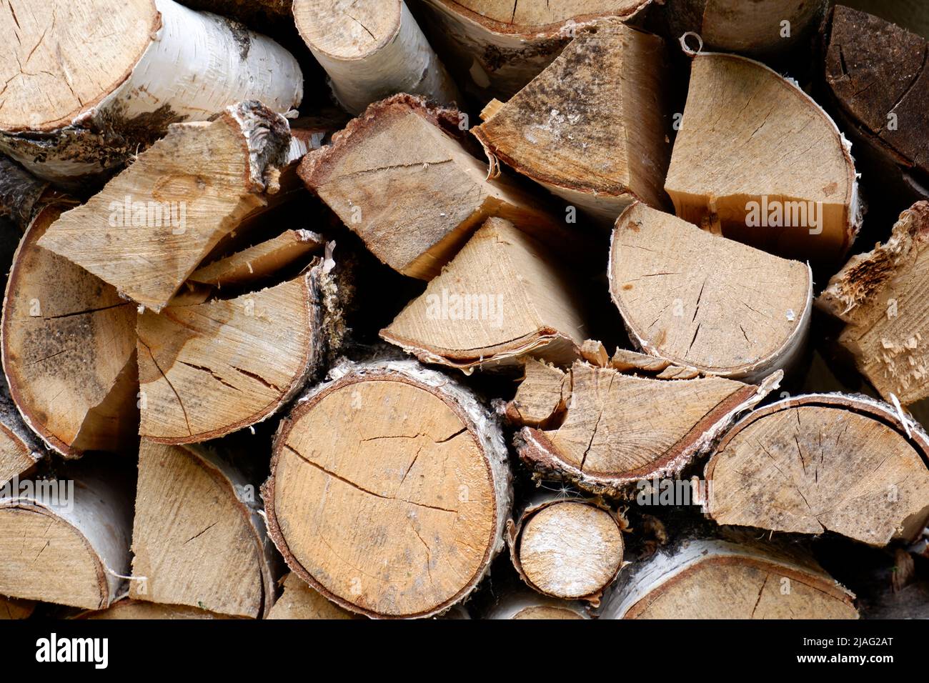 Stacked logs close up Stock Photo