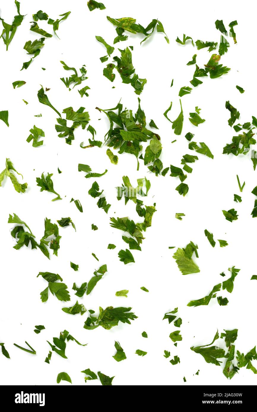 Aromatic Spice, chopped fresh celery leaves isolated on white. Aromatic