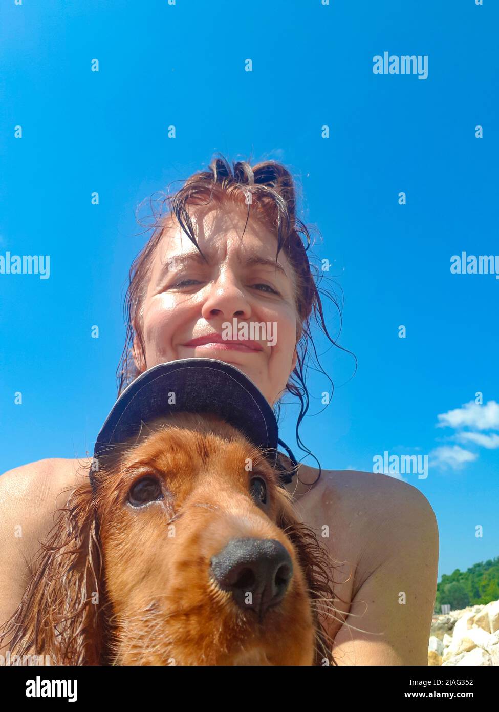 Cute three month old male puppy cocker spaniel dog Johnny lying on a