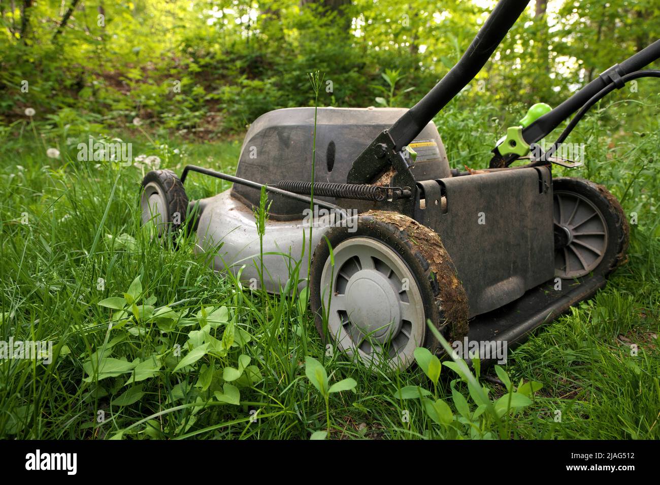 Low Angle Close up lawnmower ready to be cutting long grass or illustrating concept of helping bees Stock Photo