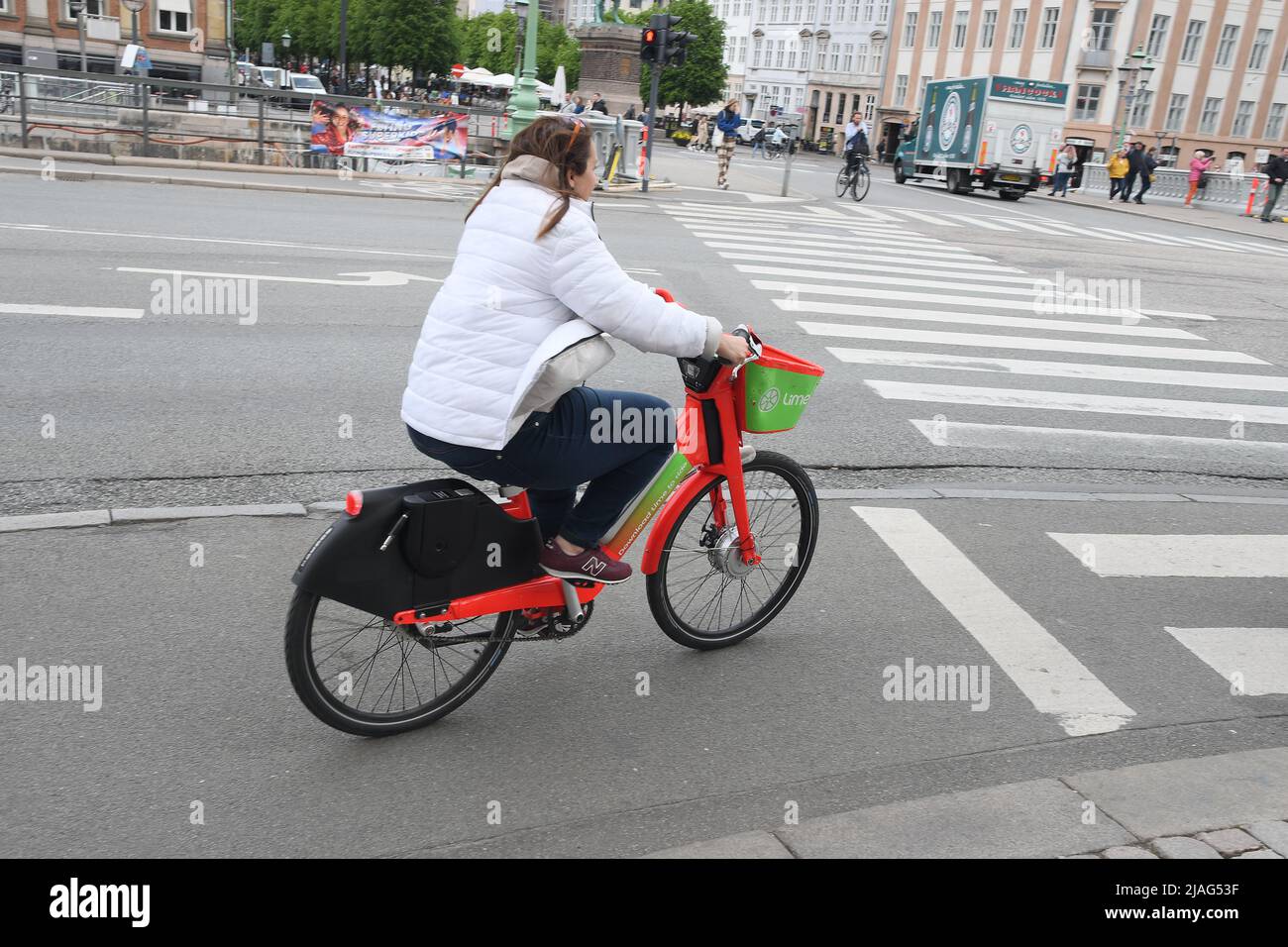 danish electric bike