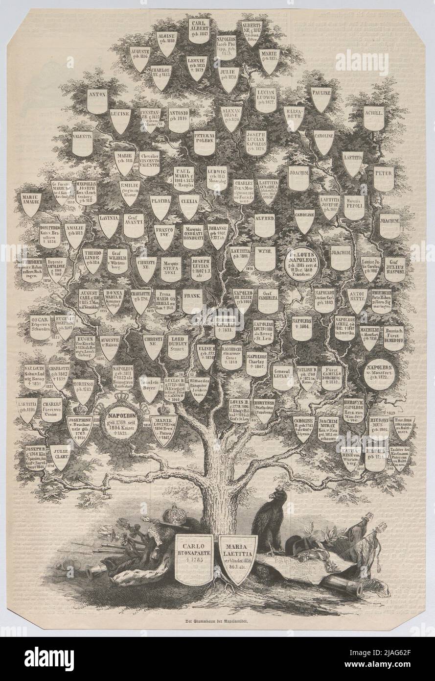 The family tree of the Napoleonids ". Family tree of the Bonaparte