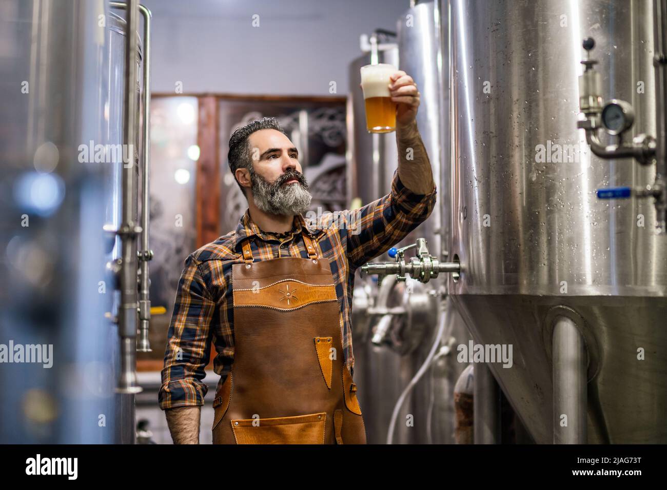 Bearded brewery master holding glass of beer and evaluating its visual