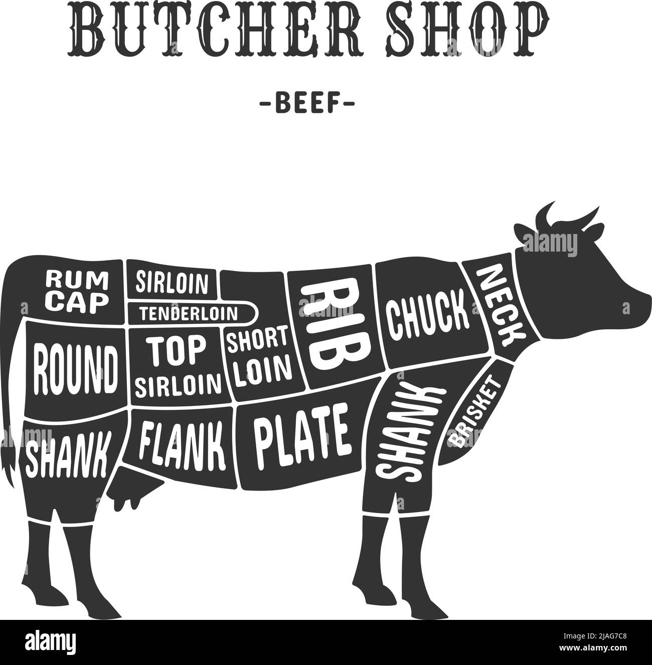 Cow cuts scheme. Cutting beef meat guide placard for butchers, animal cut diagram chart plate brisket, vintage american poster butcher shop steak or rib, exact vector illustration. Cow guide cut Stock Vector