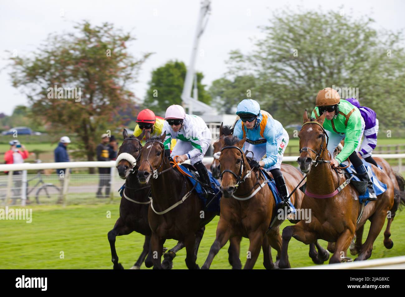 Horses galloping away from the start at York Racecourse. Stock Photo