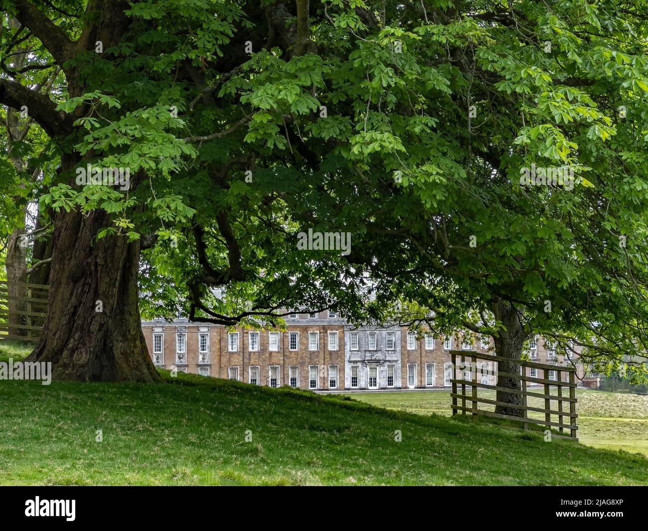 The exterior of Petworth House in West Sussex, United Kingdom.  Petworth is a late 17th-century Grade I listed country house, rebuilt in 1688 by Charl Stock Photo