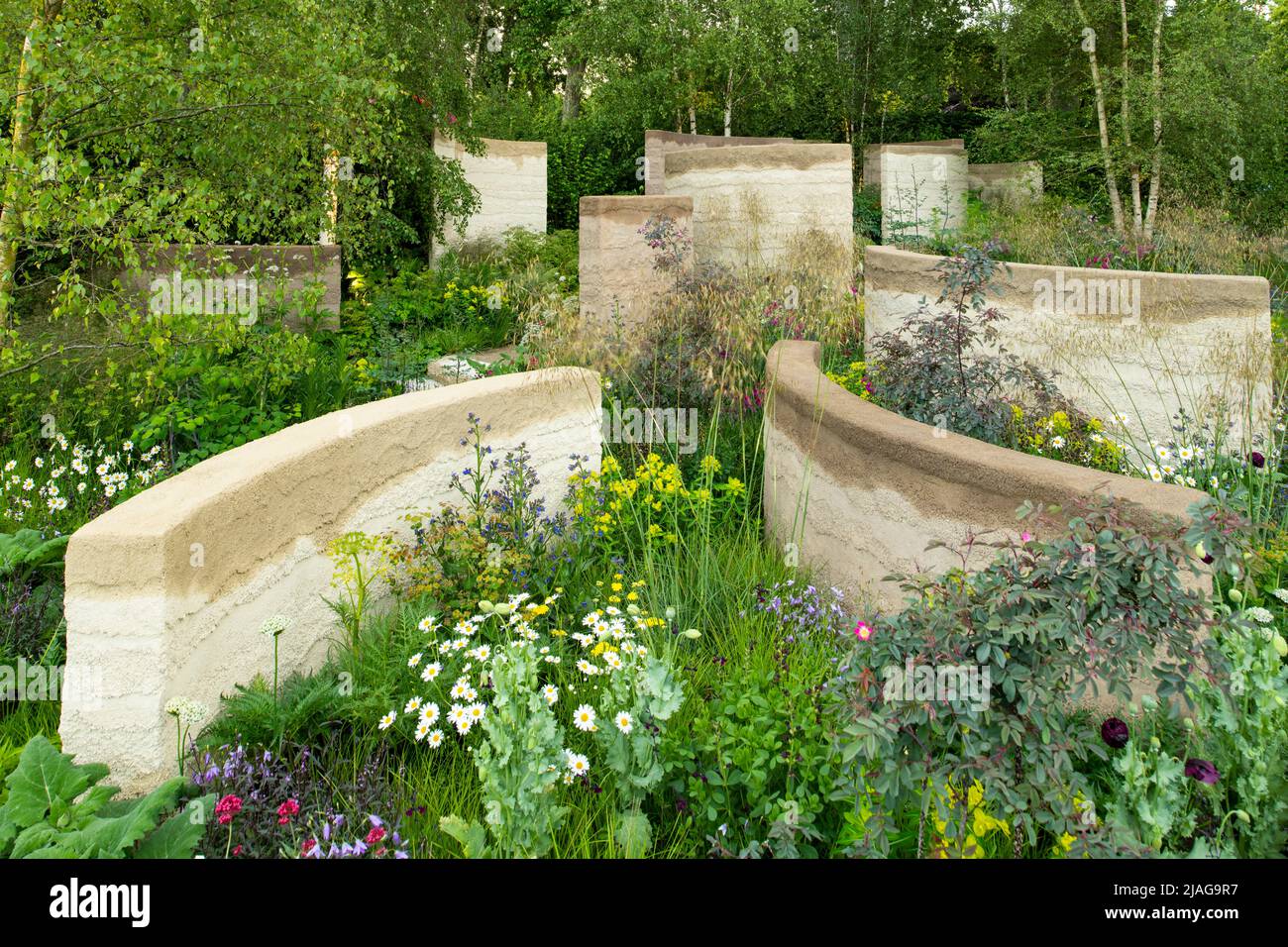 Curved clay walls surrounded by herbaceous perennials and trees in The Mind Garden designed by Andy Sturgeon Stock Photo