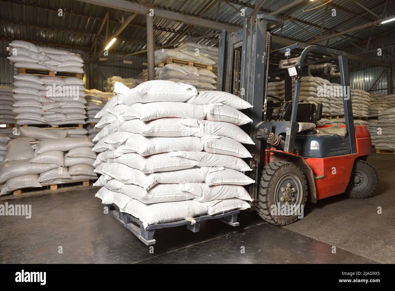 Forklift in a warehouse with wheat in sacks Stock Photo