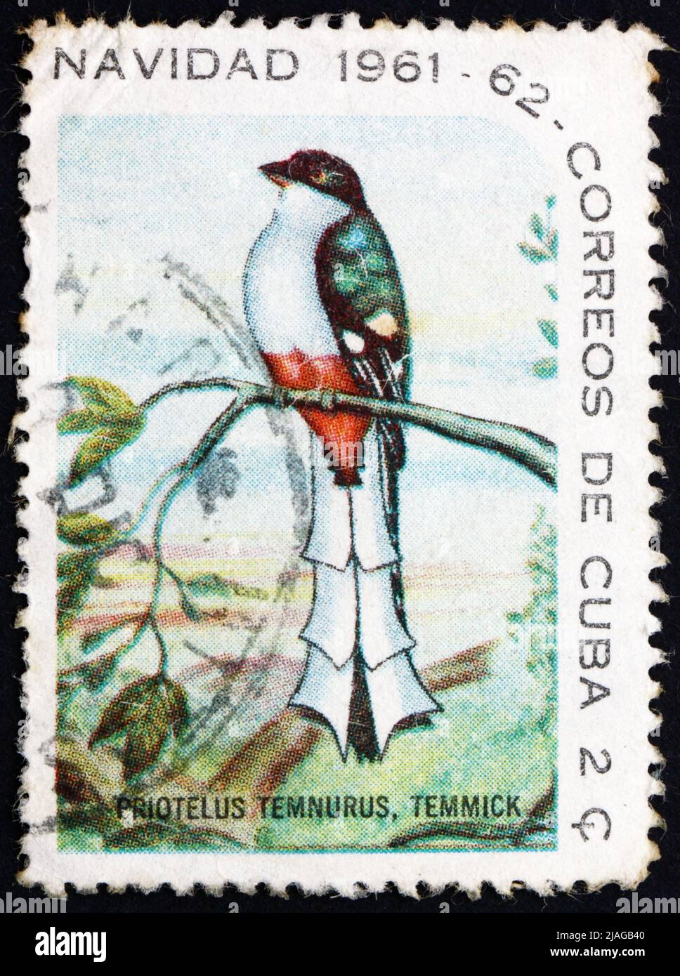 CUBA - CIRCA 1961: a stamp printed in the Cuba shows Cuban Trogon, Priotelus Temnurus, Bird, circa 1961 Stock Photo