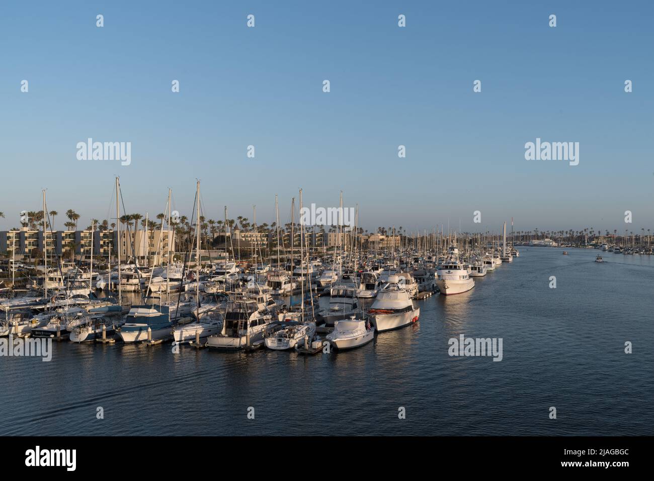 Large group of docked boats shown during a sunny afternoon in the