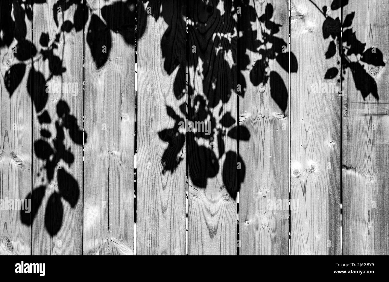 A black and white shot of wooden fences with trees shadows reflected on them in a hot summer afternoon, reminder of nostalgia of childhood and good ol Stock Photo