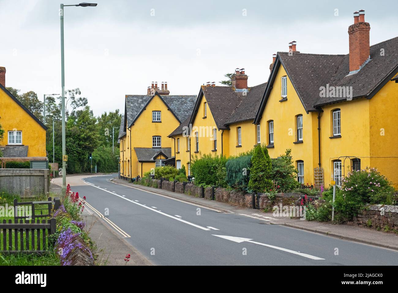 Uniformly painted cottages lining a village roadside in East Devon, UK Stock Photo