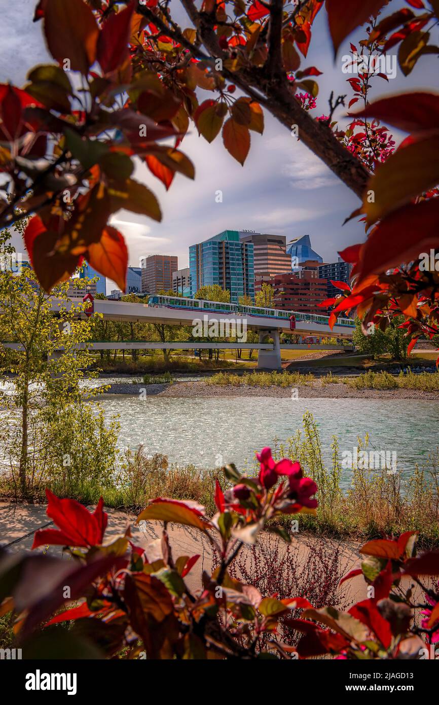 Spring Foliage Framing Downtown Calgary Stock Photo Alamy