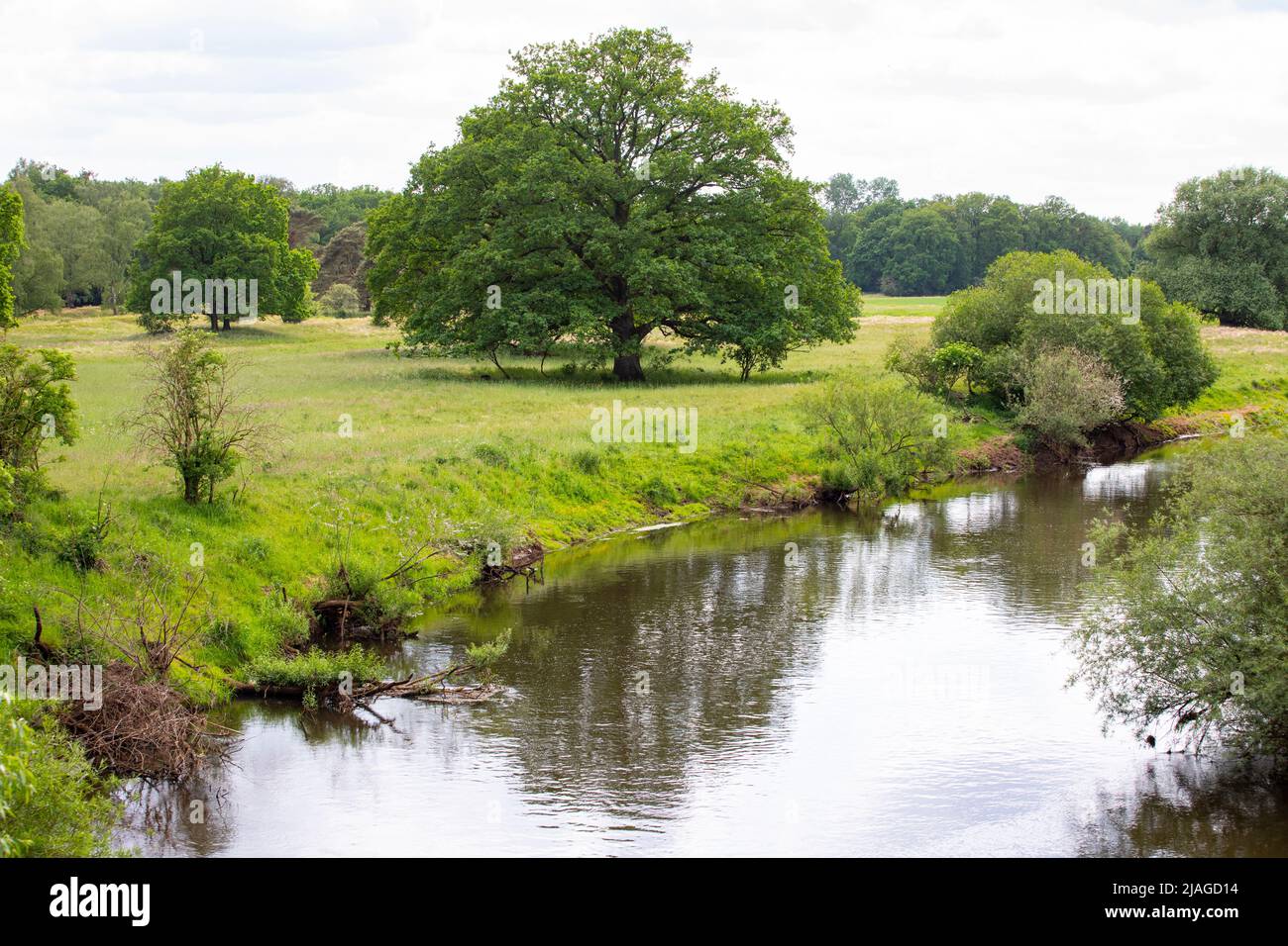 Landscape with river Haase with meadows and trees in Lower Saxony, Germany Stock Photo