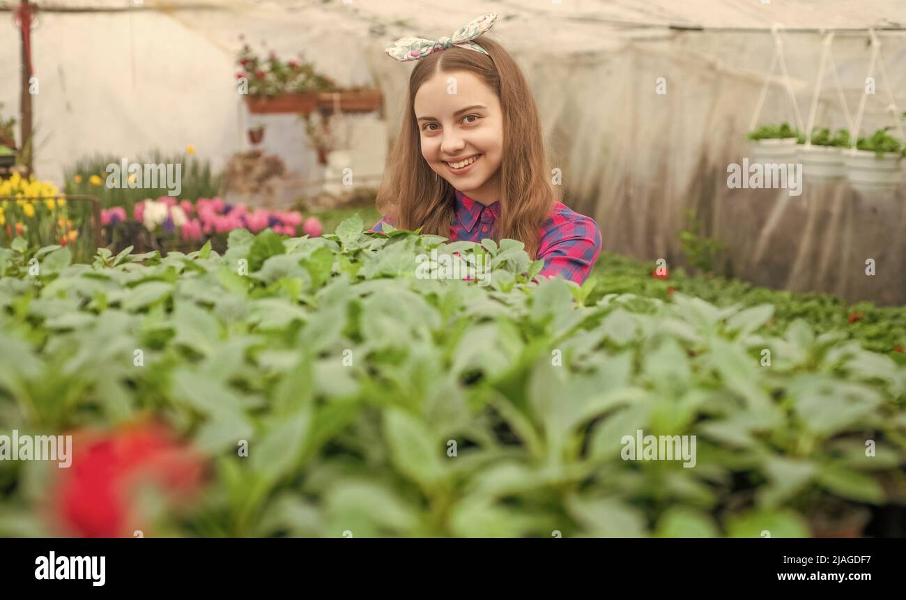 happy teen girl florist planting pot plants in greenhouse, selective focus, summer Stock Photo