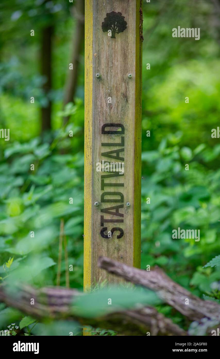 wooden pole in the forest lettering "Stadtwald" (German for urban ...