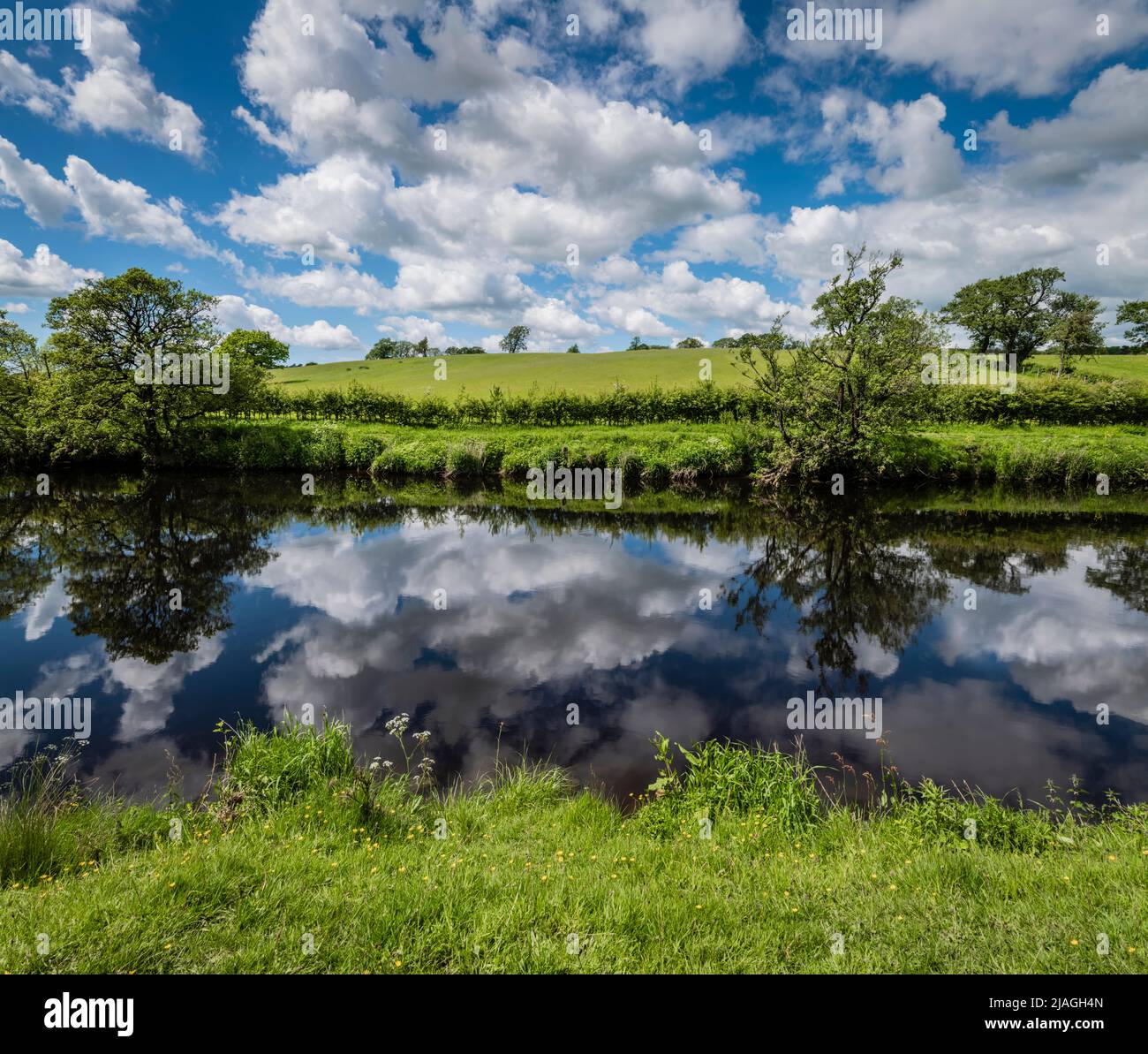 A summer afternoon on the banks of the River Ribble at West Bradford, Lancashire, UK. Stock Photo