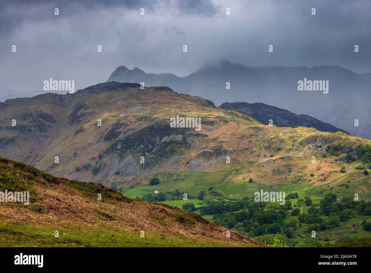 A sunlit Holme Fell and misty Langdale Pikes from Black Fell, Lake District, England Stock Photo