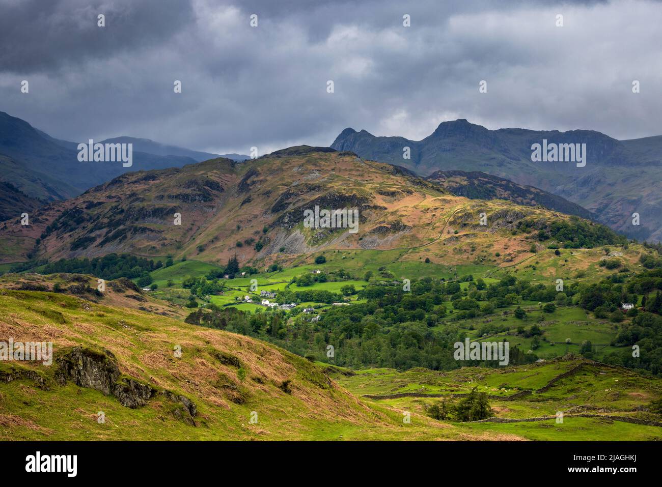 Holme Fell with Crinkle Crags and the Langdale Pikes in the background from Black Crag, Lake District, England Stock Photo