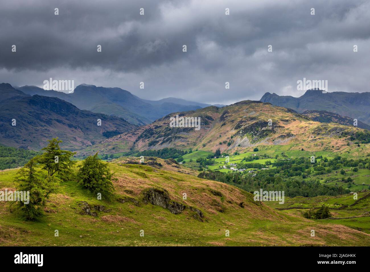 Holme Fell with Crinkle Crags and the Langdale Pikes in the background from Black Crag, Lake District, England Stock Photo