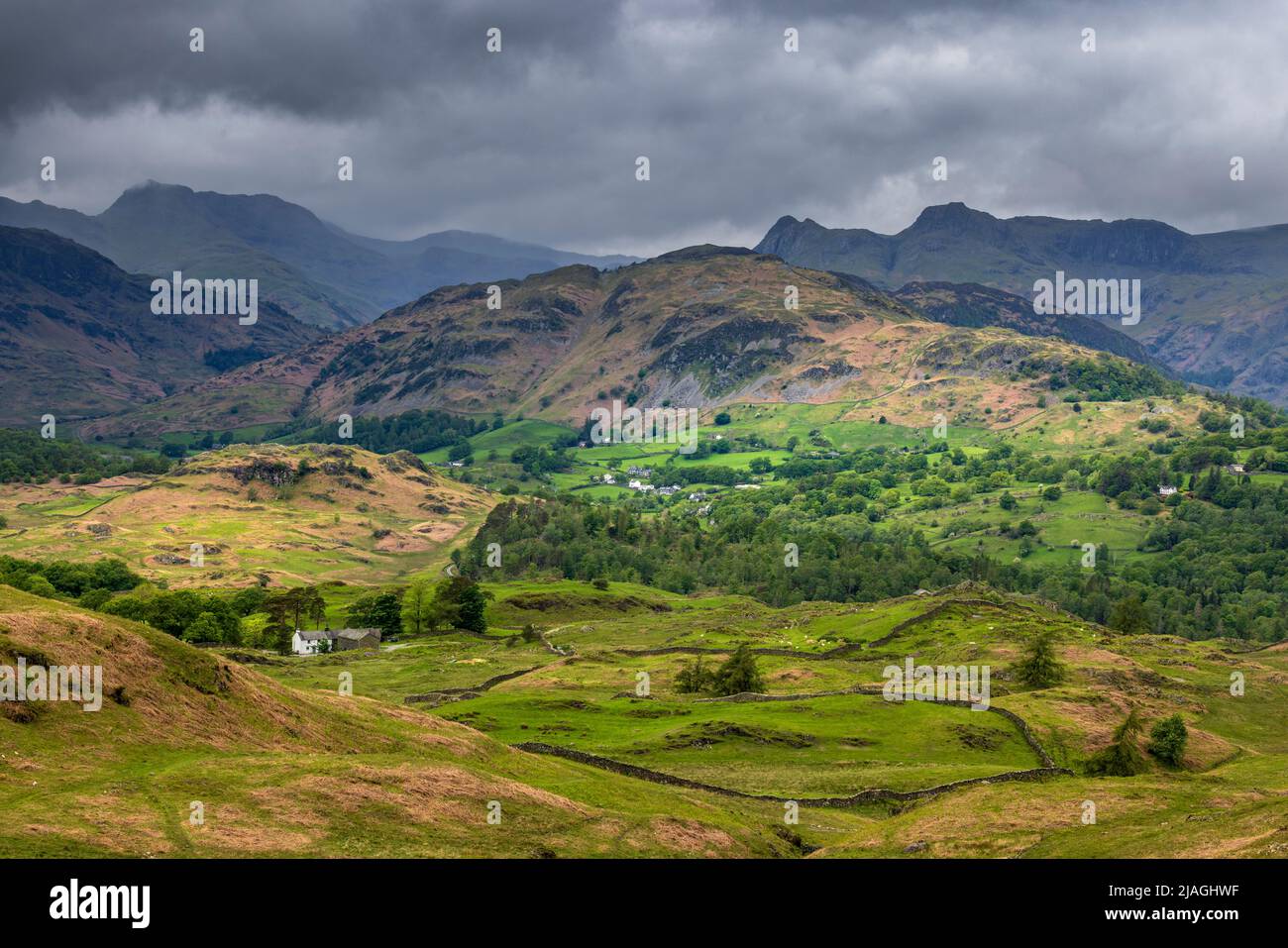 Holme Fell with the Langdale Pikes in the background from Black Crag, Lake District, England Stock Photo