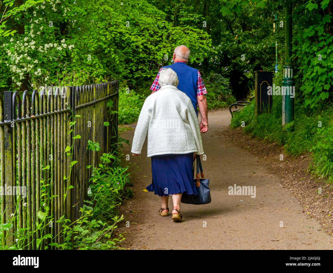 Elderly couple walking on a footpath in a public park with metal fence and trees. Stock Photo
