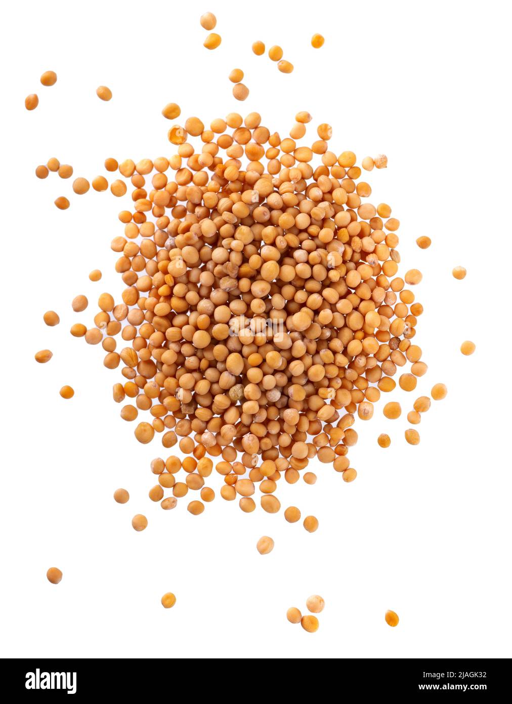 Mustard seeds isolated on white background. Pile of dry mustard grains