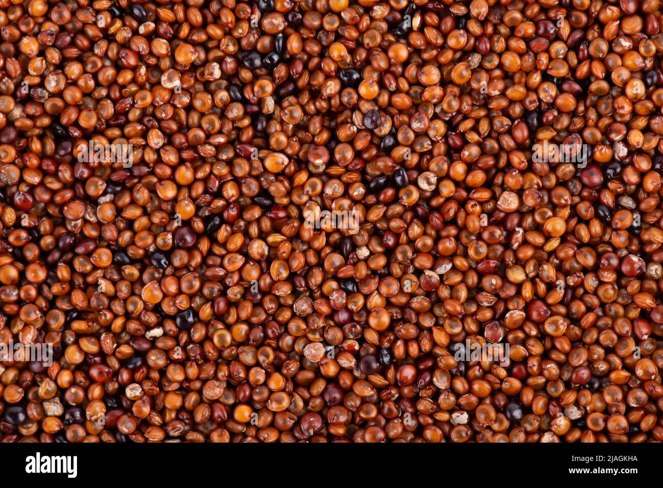 Canihua grains background. Qaniwa, qanawa, qanawi or kaniwa seeds. Dry grains of chenopodium pallidicaule. Top view Stock Photo