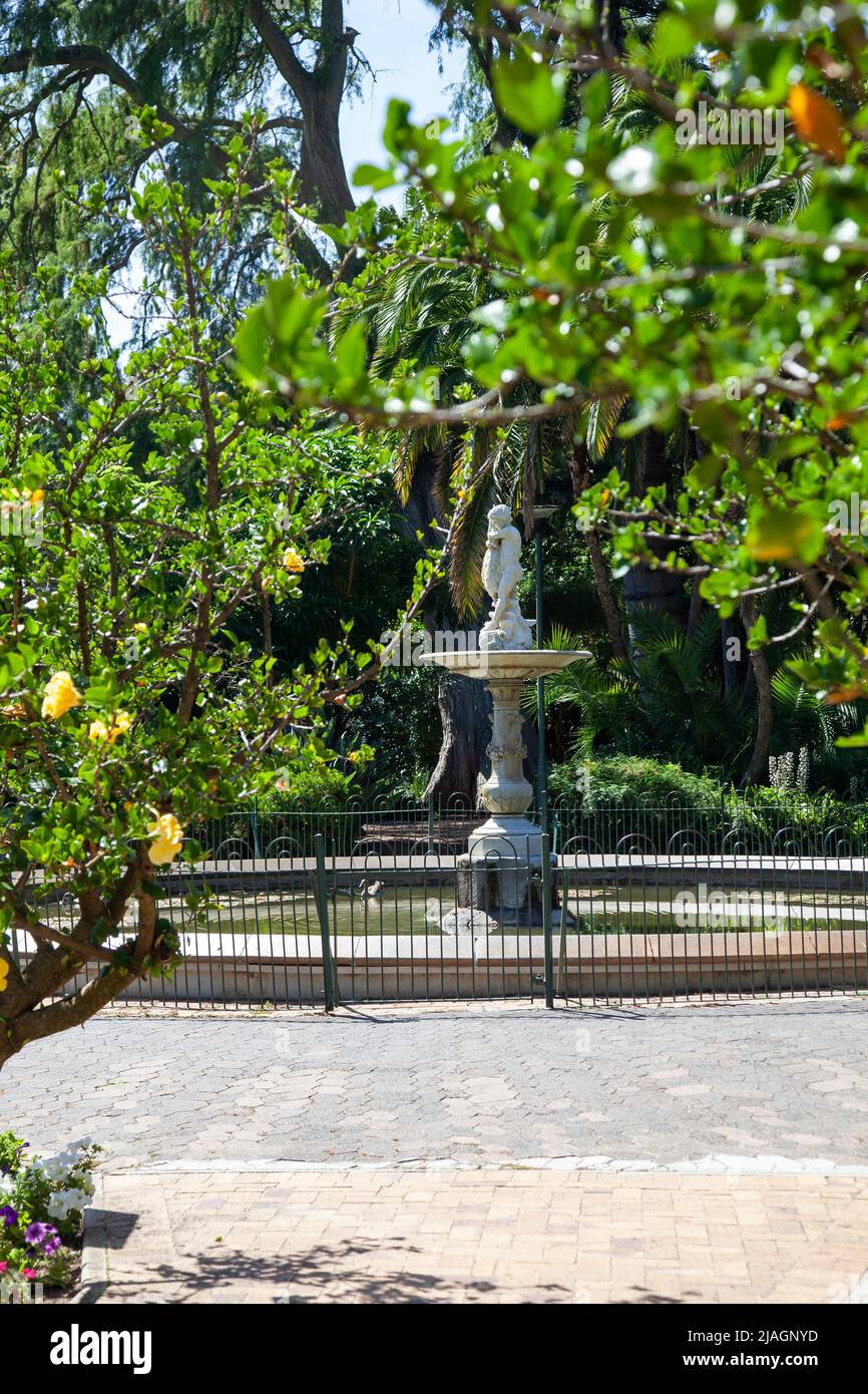 Fountain in Company Gardens, Cape Town South Africa Stock Photo Alamy