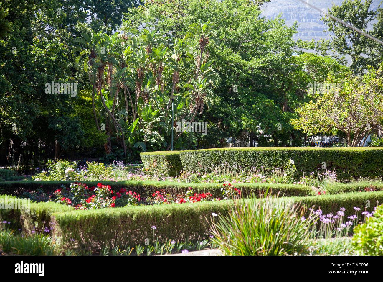 Company Gardens, Cape Town - South Africa Stock Photo - Alamy