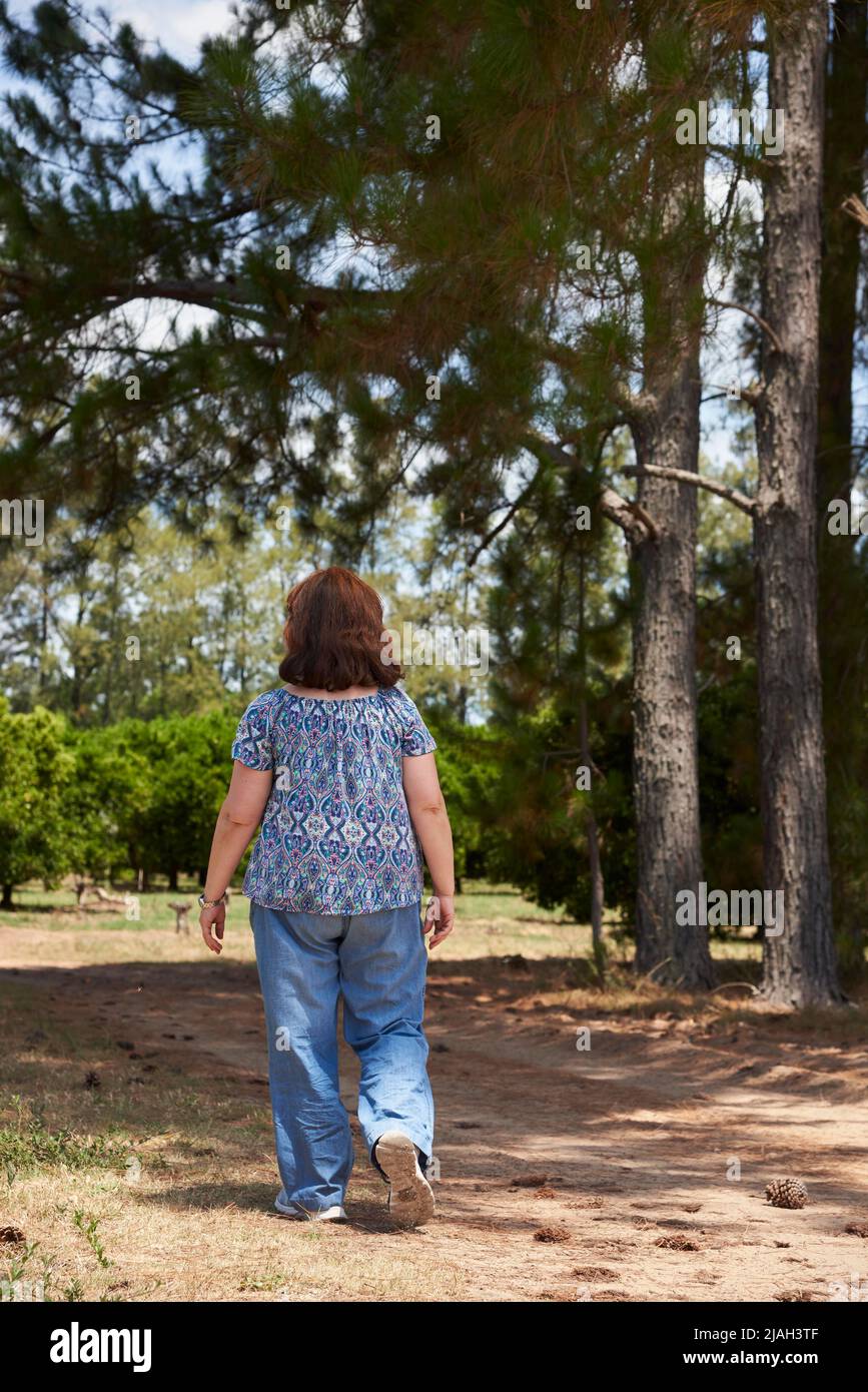 Woman seen from the back walking alone along a country road on a summer ...