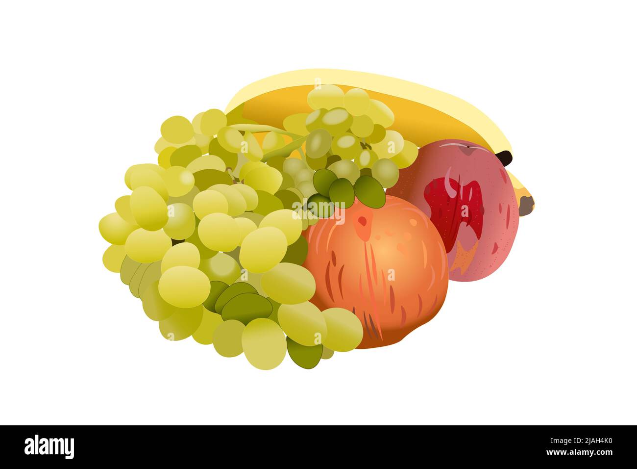 A variety of fruits stacked in a circle on a white background. Stock Vector