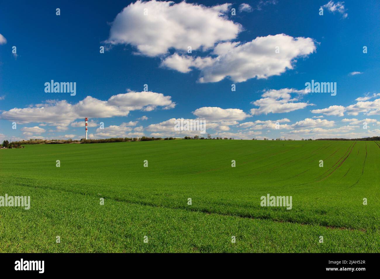 Green spring field with communication mast in background Stock Photo - Alamy