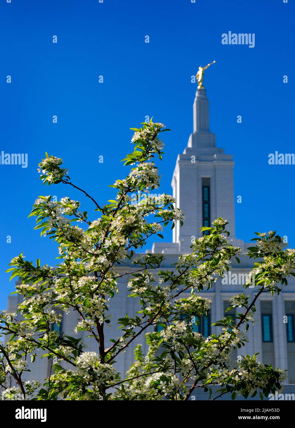 Pocatello Idaho LDS Temple building Mormon Church of Jesus Christ