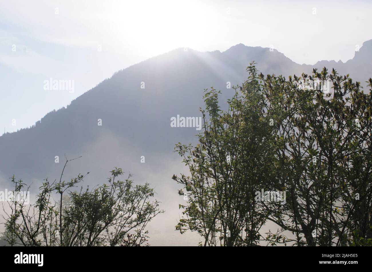 Tableau Toile Paysage Montagne Sunrise - Poster Non Encadré - Décoration Murale