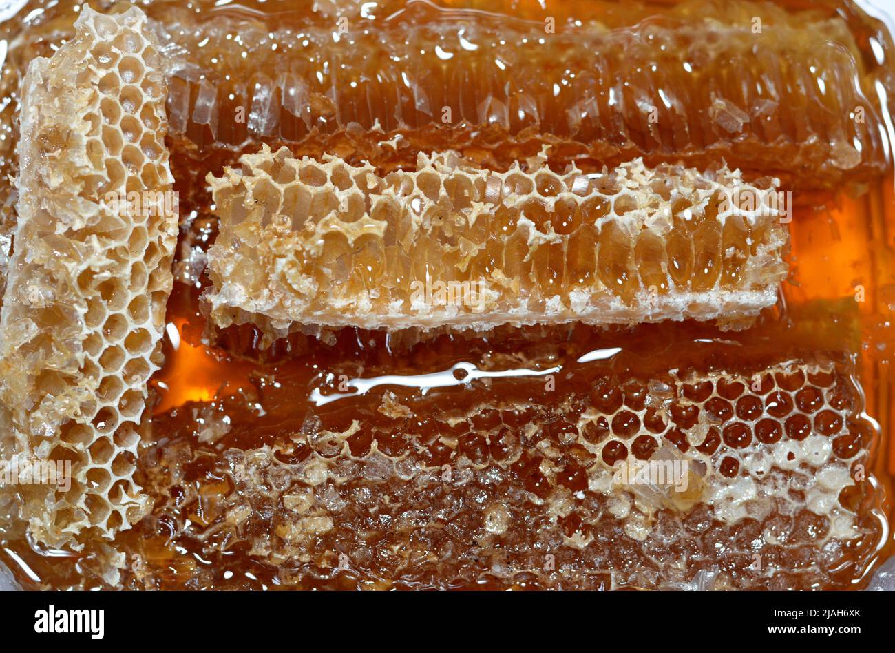 Hexagonal honeycomb cells with honey that hold the queen bee's eggs and store the pollen and honey the worker bees bring to the hive, mass of prismati Stock Photo