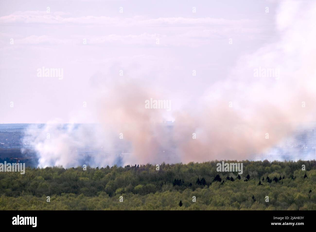 Smoke from the fire rises behind trees in the forest near city ...