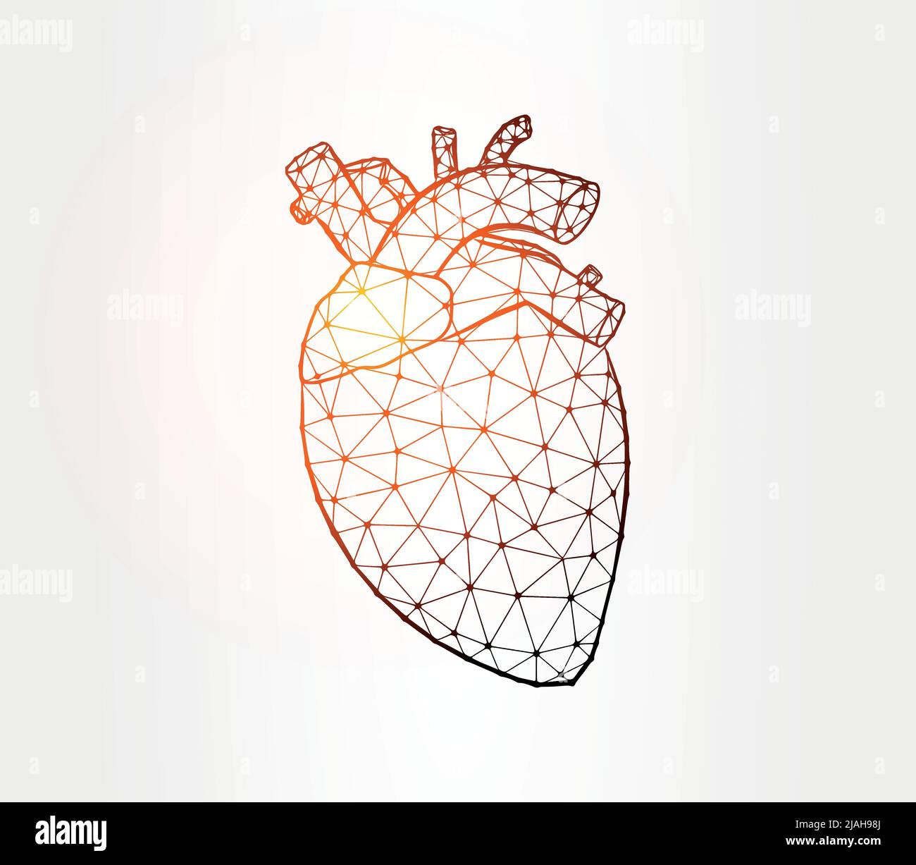 Heart internal organ low poly illustration on white background Stock Vector