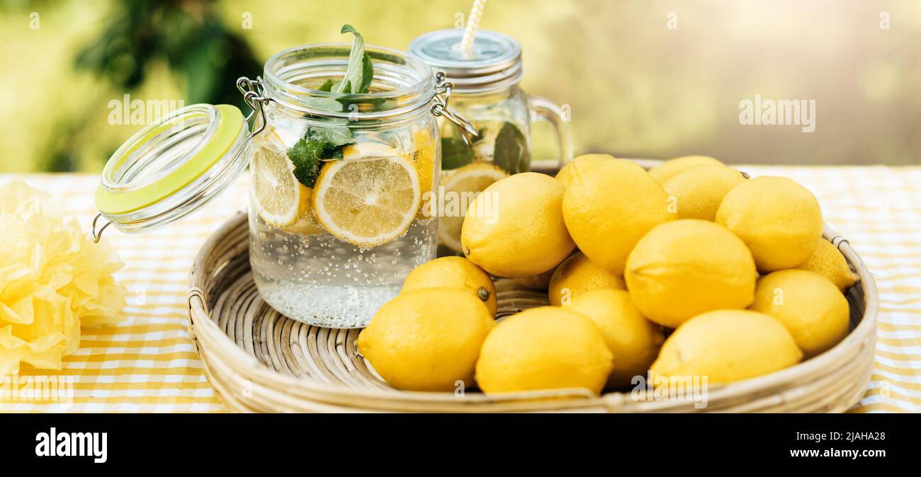 Plate with ripe fresh lemons and lemonade sassy water. Vitamins concept. copy space. Strengthening immunity concept. Tropical fruit. Organic citrus fruits for a healthy diet. Stock Photo