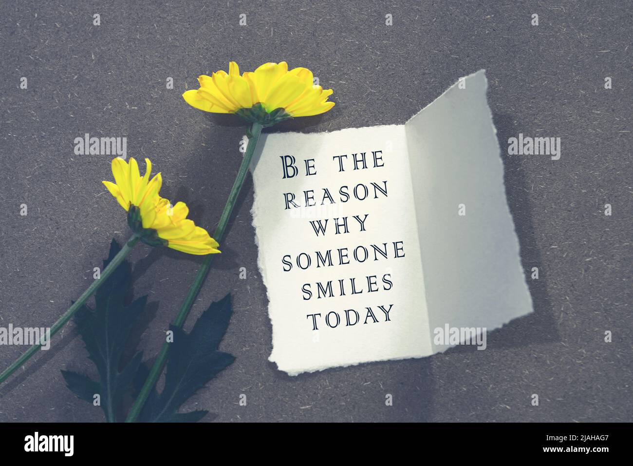 Motivational and inspiratinal quote on white paper with flowers on wooden desk. Stock Photo