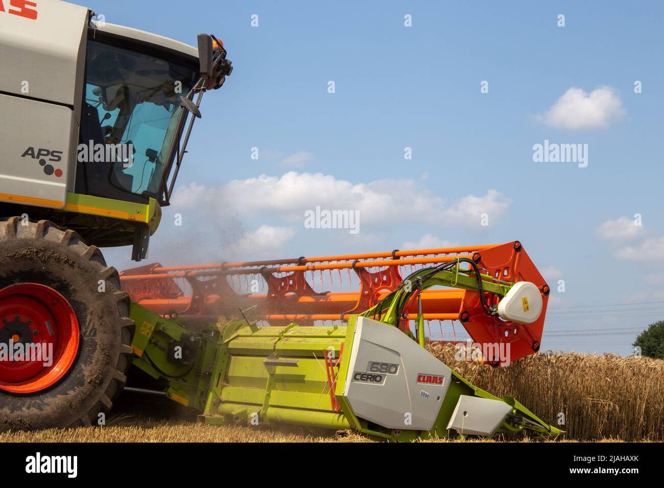 Grain harvest near Hockenheim, Baden-Wuerttemberg, Germany (July 20, 2021) Stock Photo