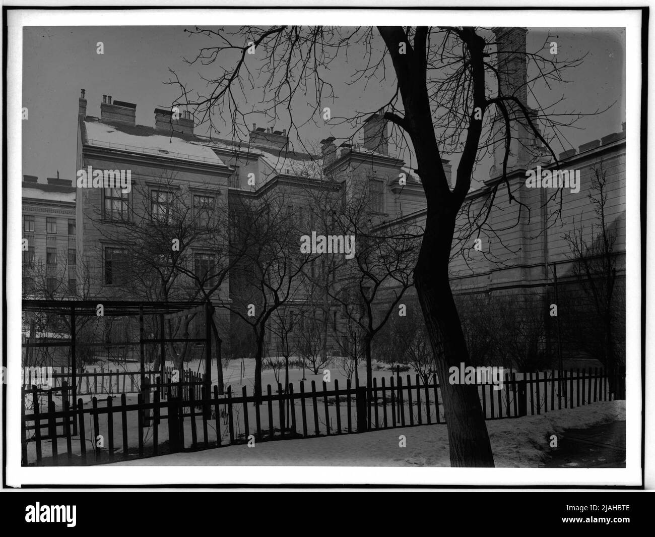 Elementary school of the city of Vienna (10th, Herzgasse), court view
