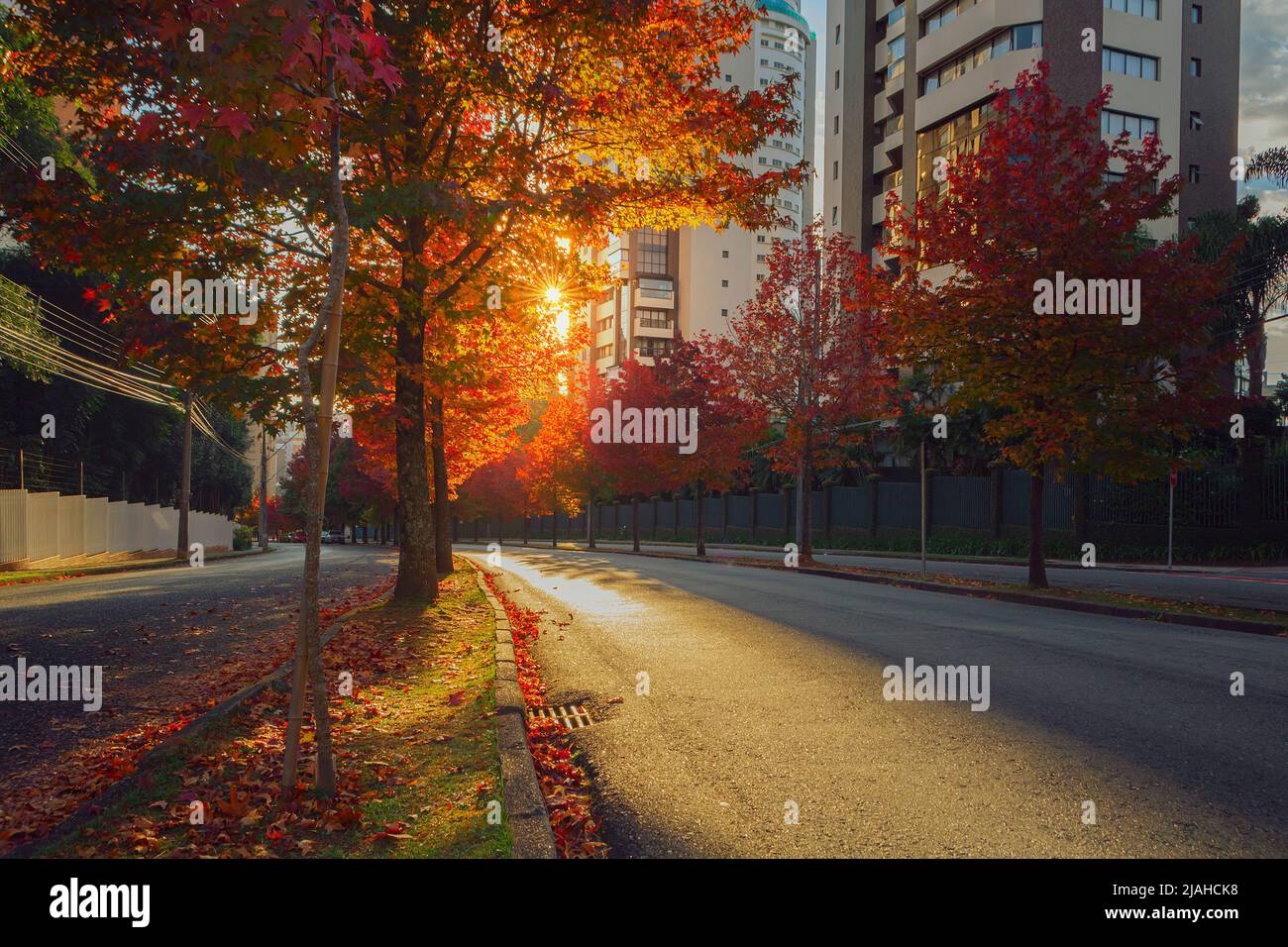 Autumn in brazil hi-res stock photography and images - Alamy