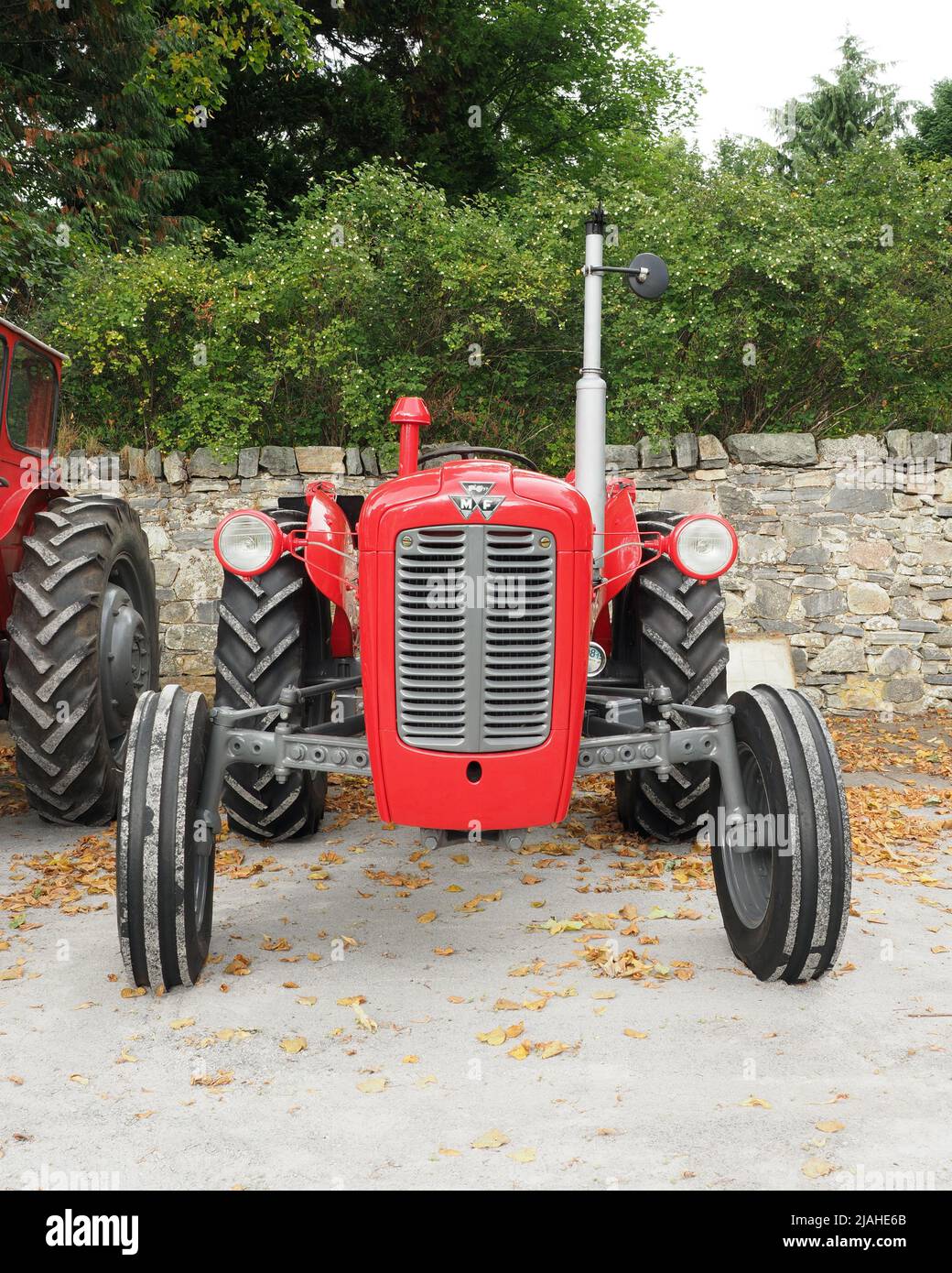 Front view of an old Massey Ferguson, type 35, tractor, parked on a gravel area with a stone wall & green foliage behind. Stock Photo