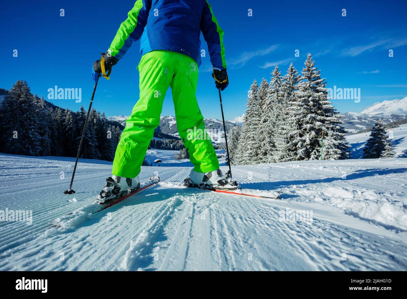 Low angle of skier legs on track over a forest after snowfall Stock Photo