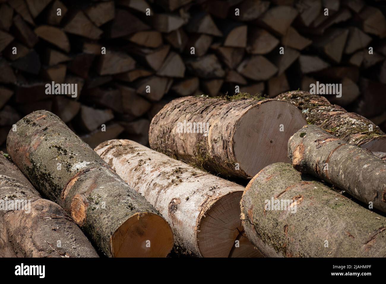 Pile of wood logs storage. Logging for firewood Stock Photo Alamy