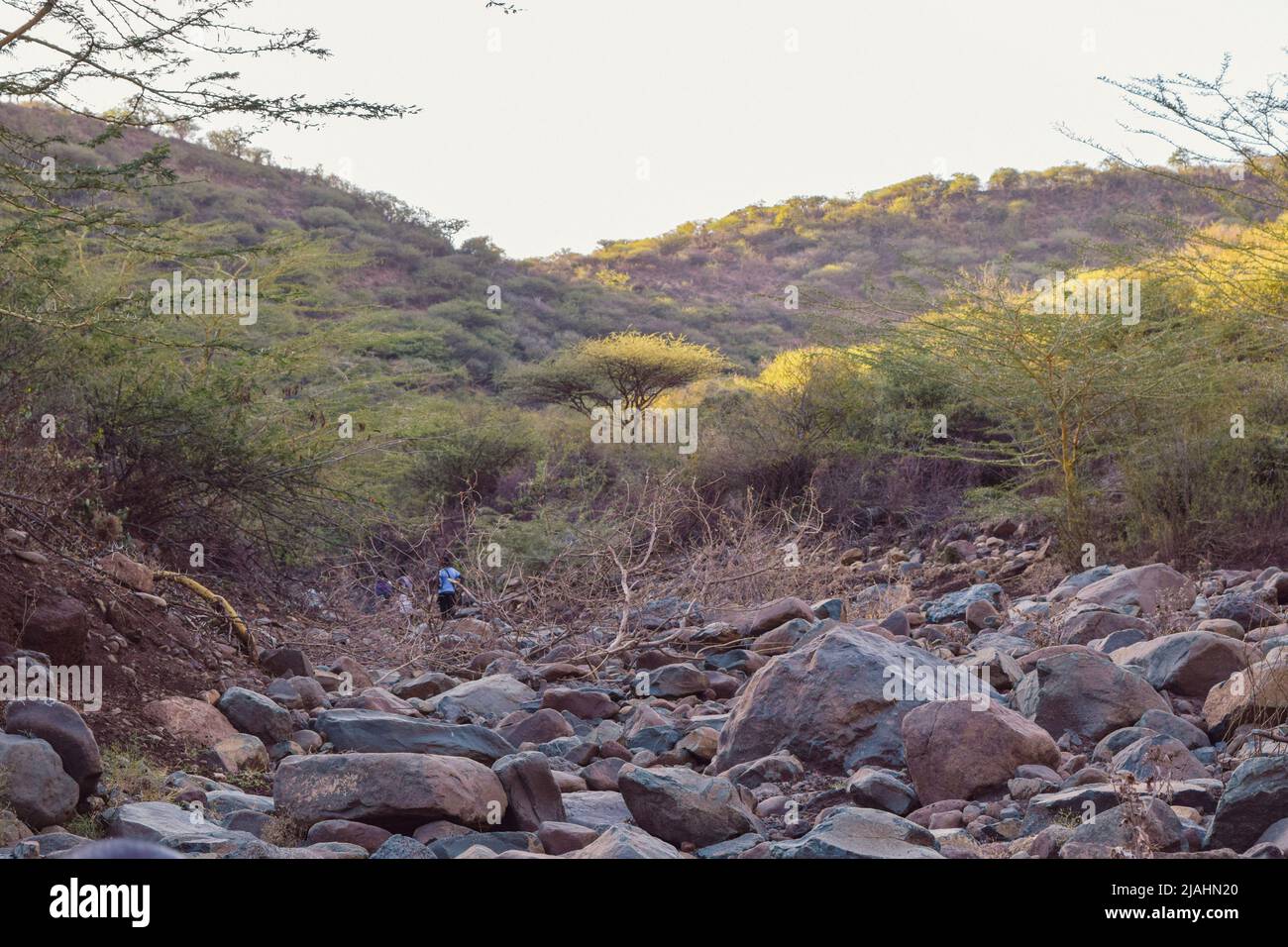 Scenic view of the dry landscapes of Makueni, Kenya Stock Photo